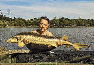 20 - Veronika Patvarošová, Vsetín