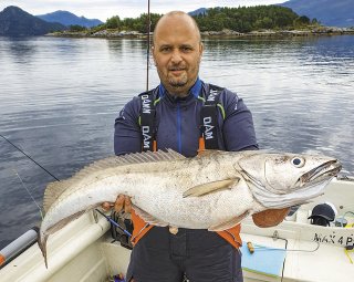 30 - Vladimír Dvořáček, Brno