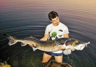 22 - Vojtěch Nohava, Zvole