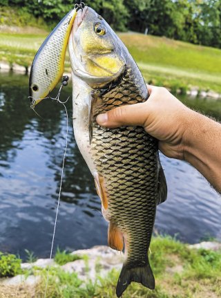 19 - Lumír Kadlčík, Ostrava